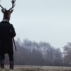 Foto Anonymous Animals