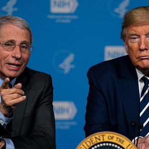 Foto Totally Under Control