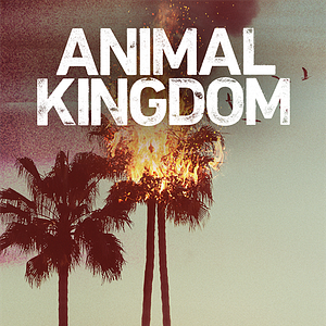 Foto Instinto Animal