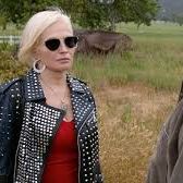 Foto Instinto Animal