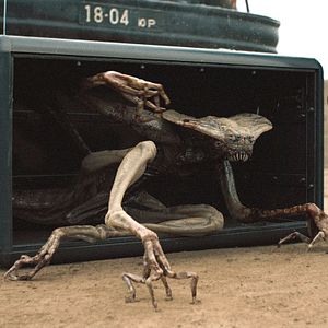 Foto Sputnik: Extraño pasajero