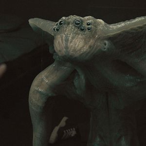 Foto Sputnik: Extraño pasajero