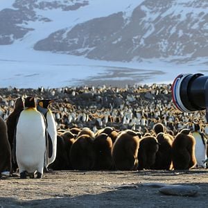 Foto Our Planet: Behind the Scenes