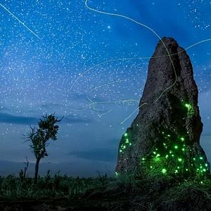 Foto Earth At Night In Color