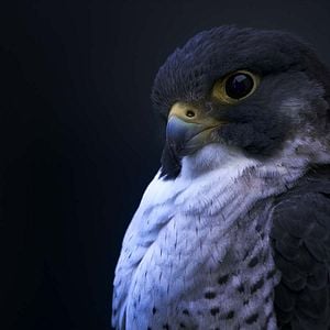 Foto Earth At Night In Color