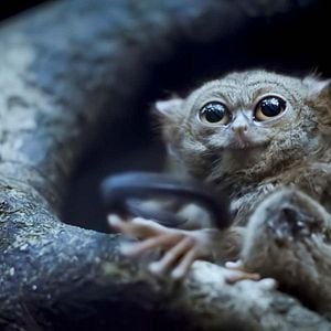 Foto Earth At Night In Color