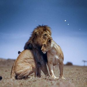 Foto Earth At Night In Color