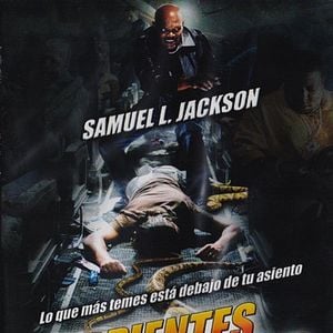 Foto Serpientes a bordo