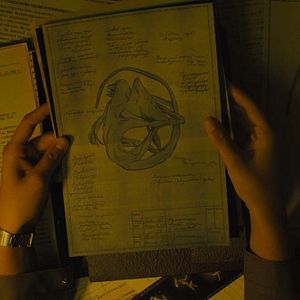 Foto Sputnik: Extraño pasajero