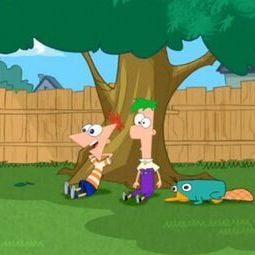 Foto Phineas y Ferb