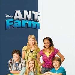 Foto Programa de Talentos