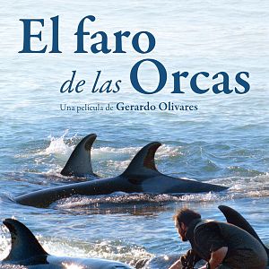 Foto El faro de las orcas