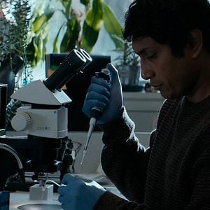 Foto Hijo de Monarcas