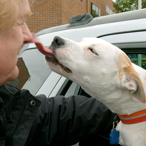 Foto Una vida de perros con Bill Farmer