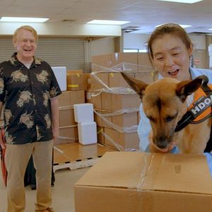 Foto Una vida de perros con Bill Farmer