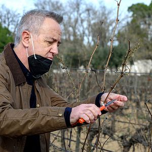 Foto Carlos Hipolito