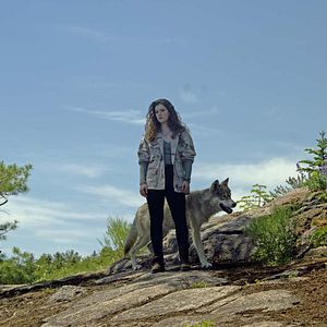 Foto The Wolf and the Lion