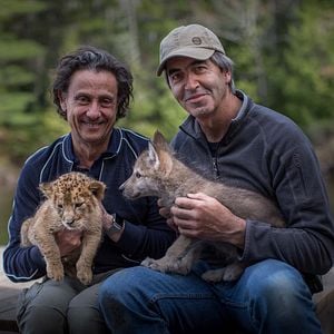 Foto The Wolf and the Lion