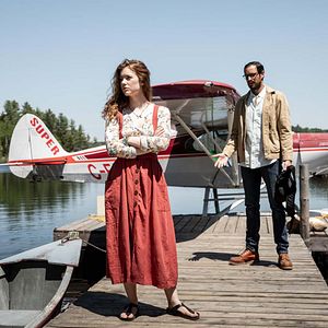 Foto The Wolf and the Lion