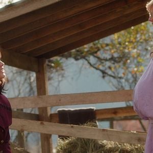 Foto El baile de las luciérnagas