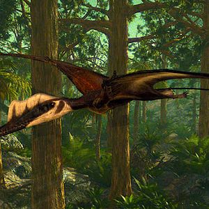 Foto Gigantes voladores 3D con David Attenborough