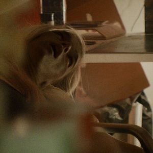 Foto Forest – I See You Everywhere