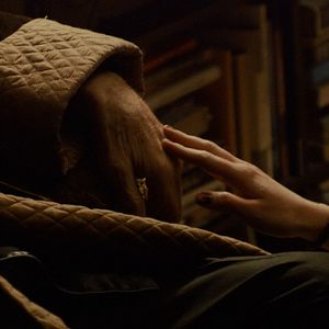 Foto Forest – I See You Everywhere