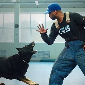 Foto Adiestramiento canino