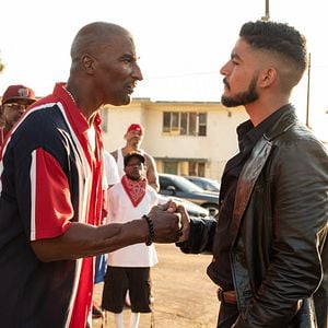 Foto El recolectador