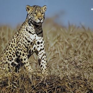 Foto Earth At Night In Color