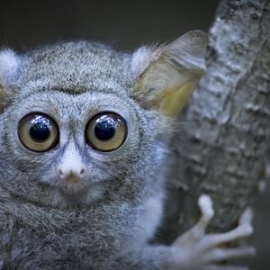 Foto Earth At Night In Color