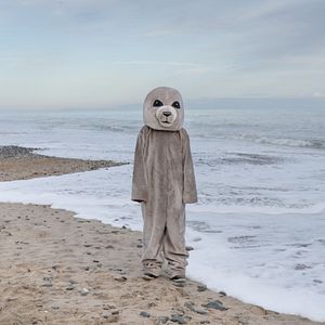 Foto Fra det vilde hav