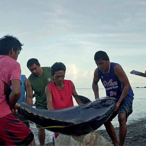 Foto Last Days at Sea