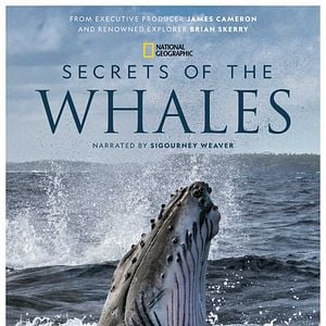 Foto Secrets Of The Whales
