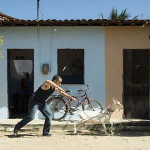 Foto Más locos que una cabra