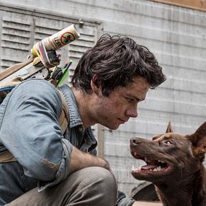 Foto Amor y monstruos