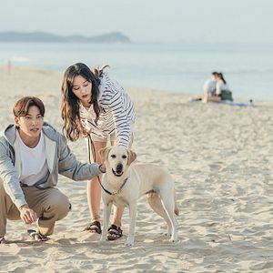 Foto Amor en la ciudad