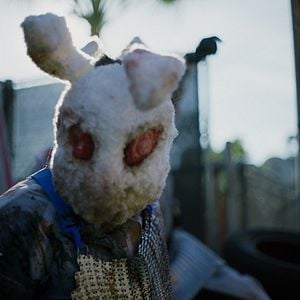 Foto La Purga por siempre