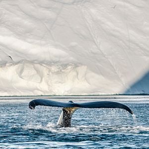 Foto Romper los límites: La ciencia de nuestro planeta