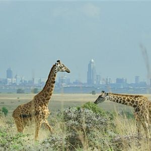 Foto Romper los límites: La ciencia de nuestro planeta