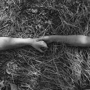 Foto The painted bird