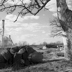 Foto The painted bird