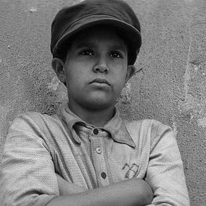 Foto The painted bird