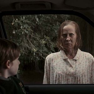 Foto El bosque maldito