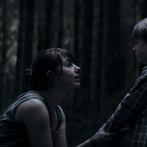 Foto El bosque maldito