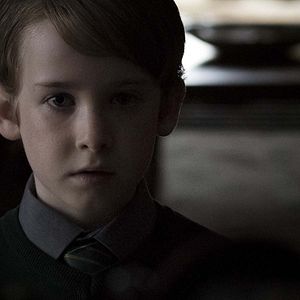 Foto El bosque maldito