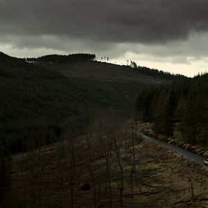 Foto El bosque maldito