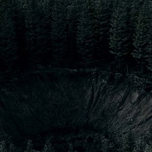 Foto El bosque maldito