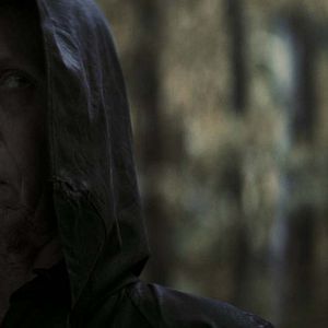 Foto El bosque maldito