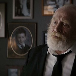 Foto El bosque maldito